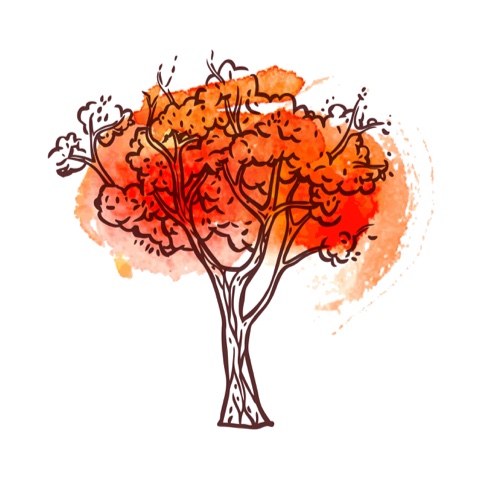 Lectura de Tarot de Otoño