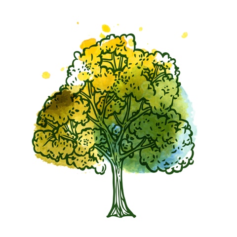 Lectura de Tarot de Verano