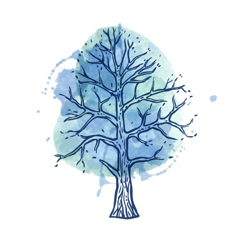 Lectura de Tarot de Invierno